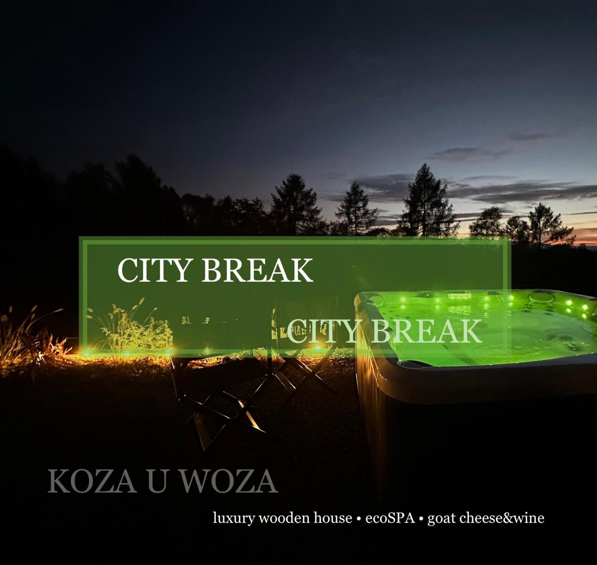 Koza U Woza Wypocznij W Gorach W Rytmie Slow Drewniany Dom Premium Z Widokiem Na Panorame Tatr Ecospa Strefa Fitness Zielona Farma Warsztaty (Adults Only) Szlembark Esterno foto