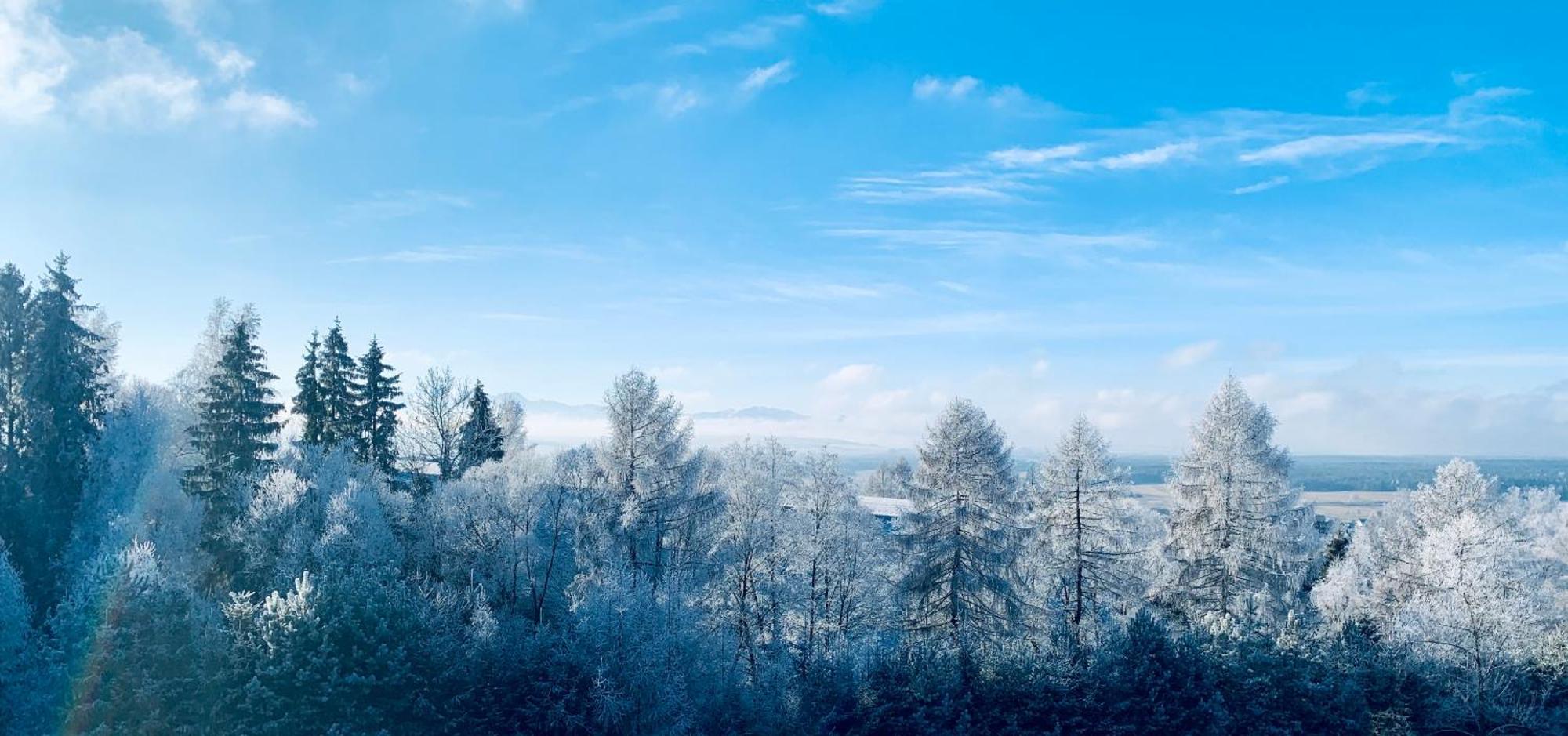 Koza U Woza Wypocznij W Gorach W Rytmie Slow Drewniany Dom Premium Z Widokiem Na Panorame Tatr Ecospa Strefa Fitness Zielona Farma Warsztaty (Adults Only) Szlembark Esterno foto