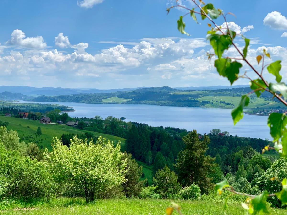 Koza U Woza Wypocznij W Gorach W Rytmie Slow Drewniany Dom Premium Z Widokiem Na Panorame Tatr Ecospa Strefa Fitness Zielona Farma Warsztaty (Adults Only) Szlembark Esterno foto